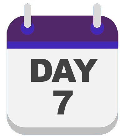 DaySeven