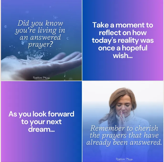 Newsletter 8 Gentle