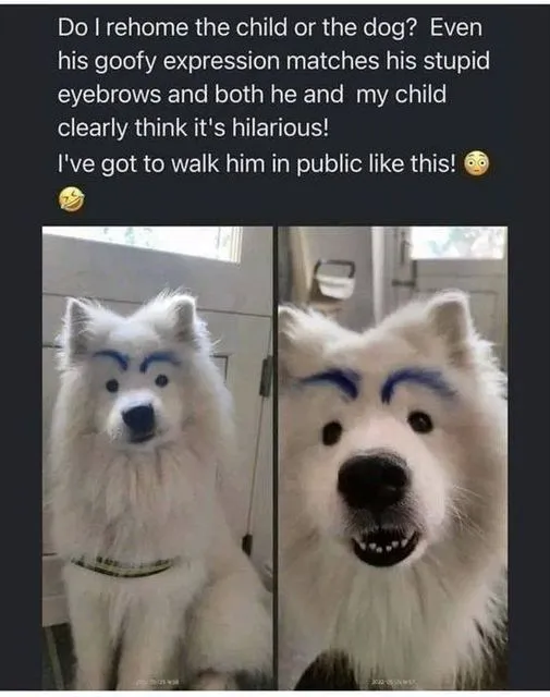 Newsletter 8 Laugh